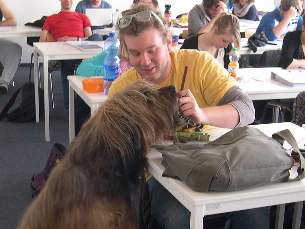 Tiergestützte Pädagogik: Der Hund im Klassenzimmer Juhei